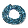 Natural Apatite Beads Strands G-G155-A01-01-3