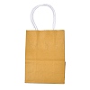 Pure Color Kraft Paper Bags LS-AJEW-G020-A-06-1