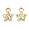 304 Stainless Steel Charms LS-STAS-V003-05G-11-1