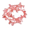 Cherry Quartz Glass Beads Strands G-P604-A10-01-5