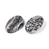 Natural Map Stone Cabochons G-T144-75-2