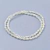 Electroplate Glass Beads Strands EGLA-J013-4X6mm-F03-5
