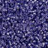 MIYUKI Round Rocailles Beads SEED-G009-RR0649-3
