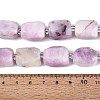 Natural Kunzite Beads Strands G-N362-07A-08-5