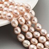 Natural Cultured Freshwater Pearl Beads Strands PEAR-P062-13D-2