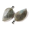 Natural Labradorite Pendants GG-CBACB71-05P-15-2