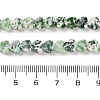 Natural Green Spot Jasper Beads Strands G-M403-A22-02-5
