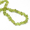 Natural Peridot Stone Bead Strands X-G-R224-02-2