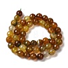 Dyed & Heated Natural Dragon Veins Agate Beads Strands X-G-P539-A01-26-3