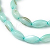 Natural Freshwater Shell Dyed Beads Strands SHEL-M018-13-4