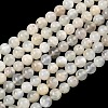 Natural White Moonstone Beads Strands G-C277-A01-8mm-2