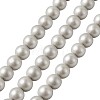 Shell Pearl Beads Strands BSHE-TA0002-03A-10mm-2