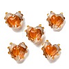 Handmade Lampwork Beads X1-LAMP-I028-01G-1
