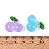 Transparent Resin Pendants RESI-N050-24-3