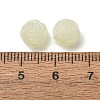 Luminous Transparent Acrylic Beads PL-CBA7A73-01-5