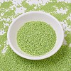 MIYUKI Delica Beads SEED-JP0008-DB0876-2