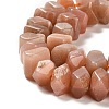 Natural Sunstone Beads Strands G-N327-05-12-4