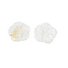 Natural Freshwater Shell Cabochons SHEL-N026-183-4