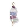 10Pcs 5 Styles Constellation Natural Strawberry Quartz & Amethyst & Obsidian & Fluorite & Rose Quartz Copper Wire Wrapped Chip Beaded Connector Charms PALLOY-JF02905-02-3