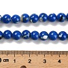 Assembled Synthetic Stone and Trochus Shell Beads Strands G-B128-08B-05-4