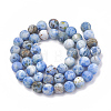 Dyed Natural Gemstone Beads Strands G-T106-344B-3