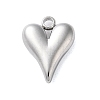 Non-Tarnish 304 Stainless Steel Pendants STAS-G338-07P-1