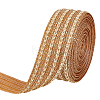 5 Yards Polyester Ribbon OCOR-MA0001-89-1
