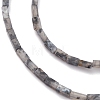 Natural Black Larvikite Bead Strands G-C301-06-3