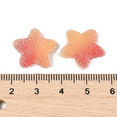 Imitation Candy Food Style Resin Cabochons RESI-R461-02L-1