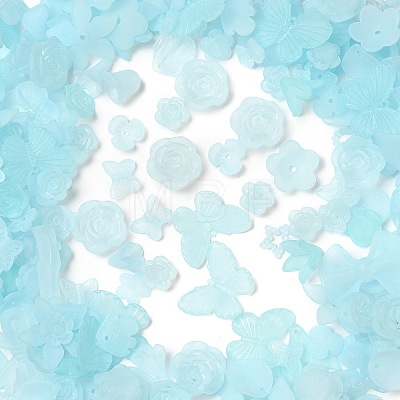 Frosted Transparent Acrylic Beads OACR-U006-03F-1