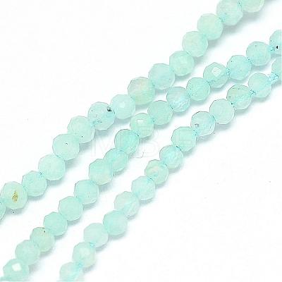 Natural Amazonite Bead Strands G-G914-2mm-14-1