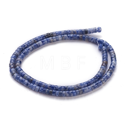 Natural Blue Spot Jasper Beads Strands G-H230-25-1