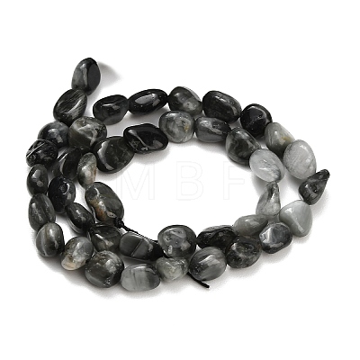 Natural Eagle Eye Stone Beads Strands G-D108-A02-03-1