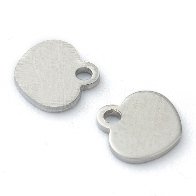 304 Stainless Steel Charms STAS-H149-03P-1