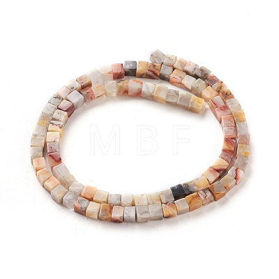 Natural Crazy Agate Beads Strands G-F631-K03-1