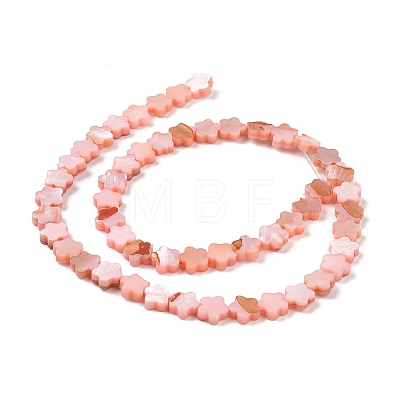 Natural Freshwater Shell Beads Strands SHEL-H002-03D-1