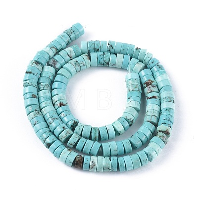 Natural Magnesite Beads Strands TURQ-L030-04B-01-1
