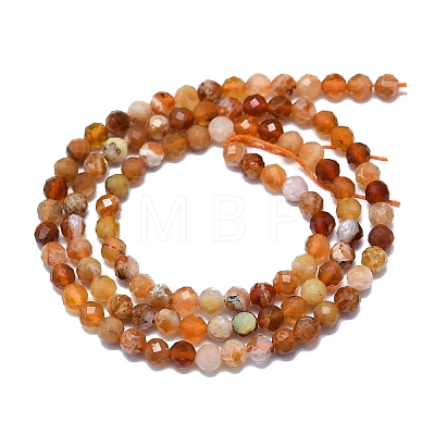 Natural Fire Opal Beads Strands G-G106-C03-03-1