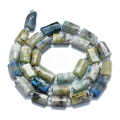 Natural Chrysocolla Beads Strands G-K245-I09-B01-1