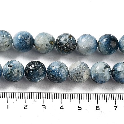 Natural Blue Ice Glacierite Stone Beads Strands G-G078-A01-04-1