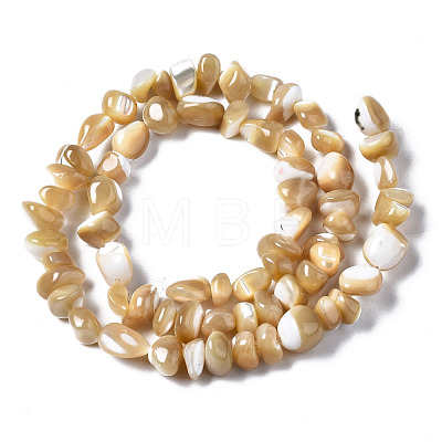 Natural Trochid Shell/Trochus Shell Beads Strands SSHEL-N034-78-B01-1