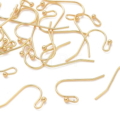 SHEGRACE Brass Earring Hooks XGR0138G-154G-1