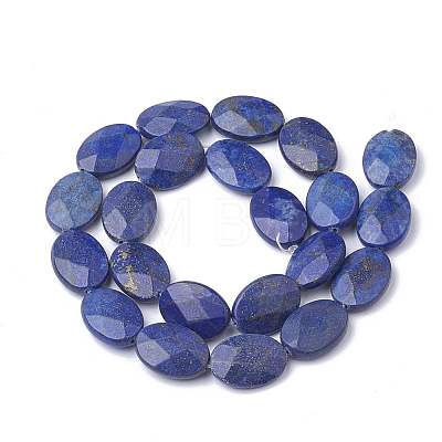 Natural Lapis Lazuli Beads Strands G-S292-44-1