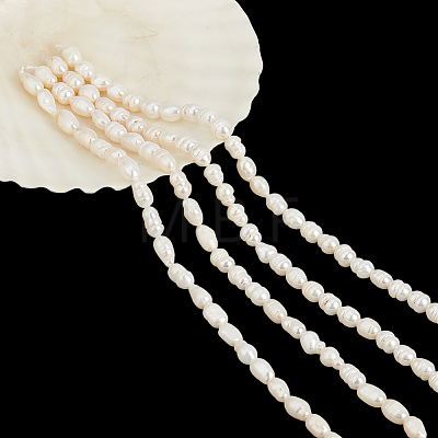 2 Strands Natural Cultured Freshwater Pearl Beads Strands PEAR-NB0002-56-1