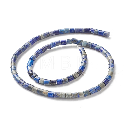Natural Lapis Lazuli Beads Strands G-F735-06-1