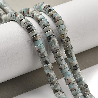 Natural Larimar Beads Strands G-Q024-B03-03-1