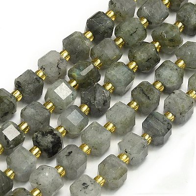 Natural Labradorite Beads Strands G-I376-D31-01-1