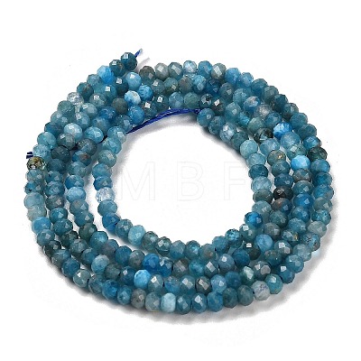 Natural Apatite Beads Strands G-G155-A01-01-1