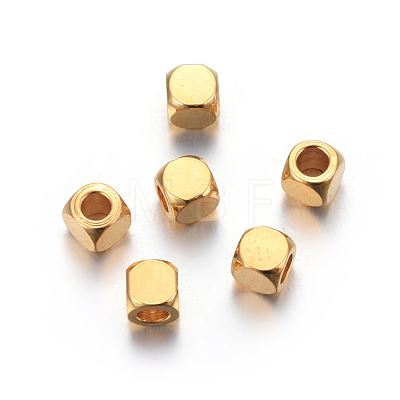 201 Stainless Steel Beads STAS-P223-09G-02-1