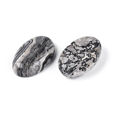 Natural Map Stone Cabochons G-T144-75-1